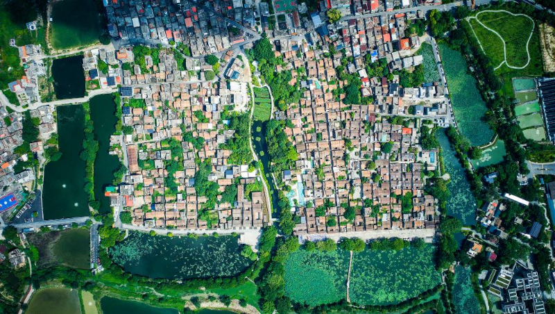 传统村落人文影像志｜塱头村：七百年书香“耕读岭南”