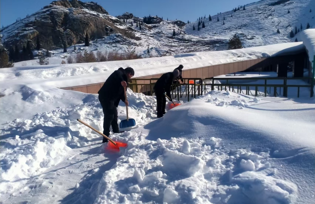 富蕴县冰雪之旅：安心畅滑，暖心服务