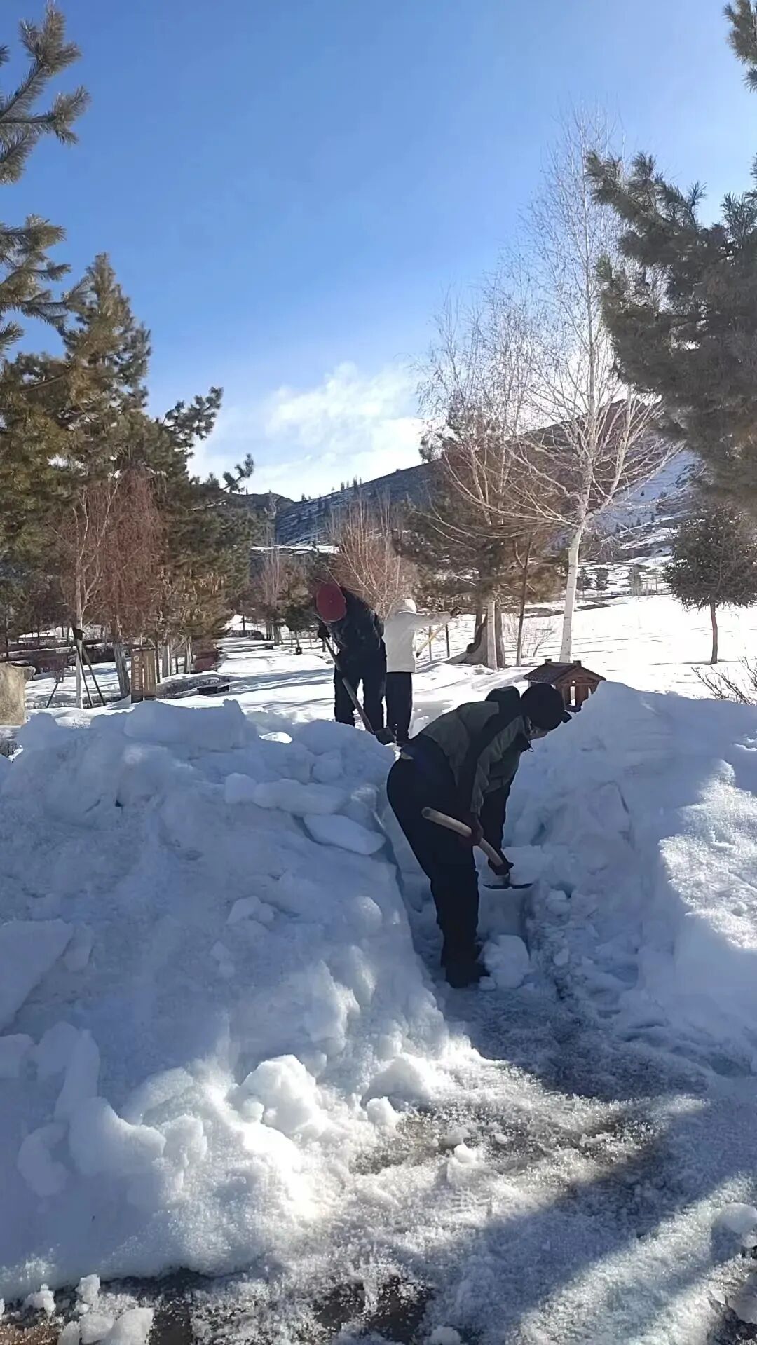 富蕴县冰雪之旅：安心畅滑，暖心服务