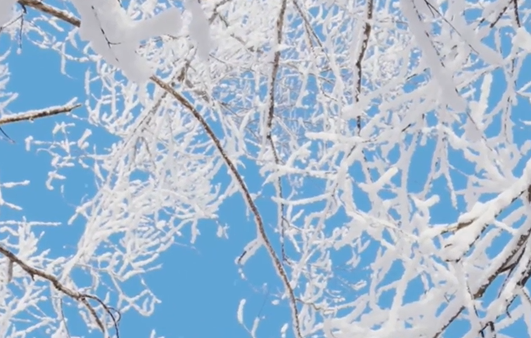 学习新语｜冰天雪地也是金山银山