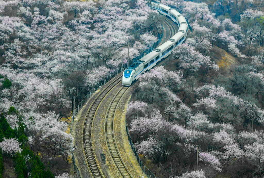 快出发！这些地方陆续美成仙境！