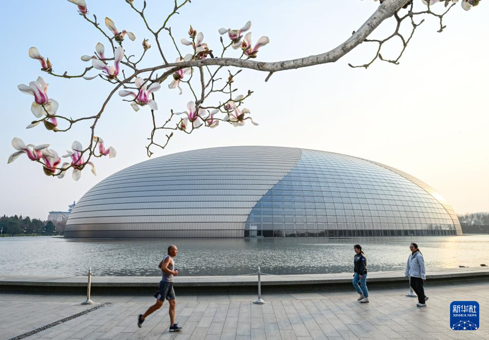 京城春信，玉兰先至