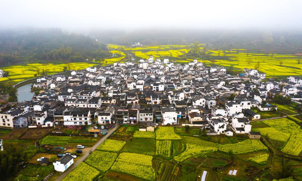 快出发！这些地方陆续美成仙境！