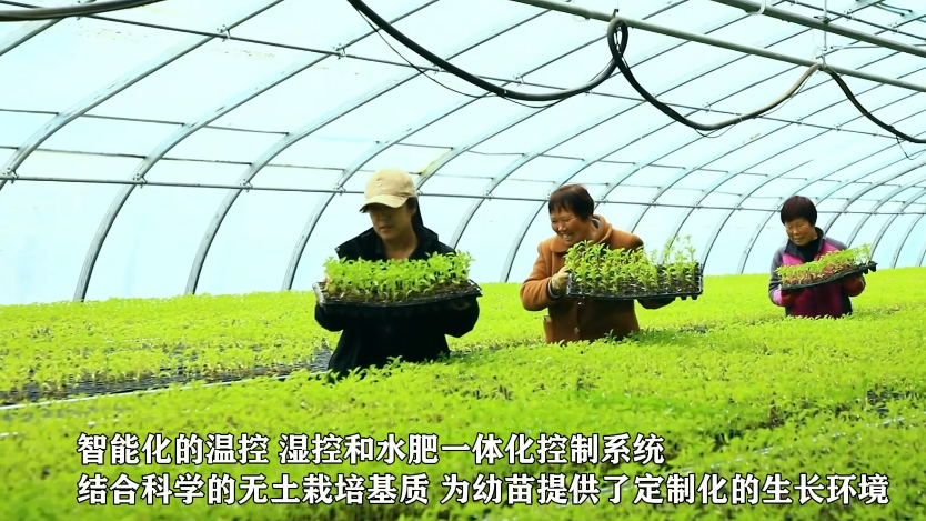 智慧育苗“掌”握春耕“先机”
