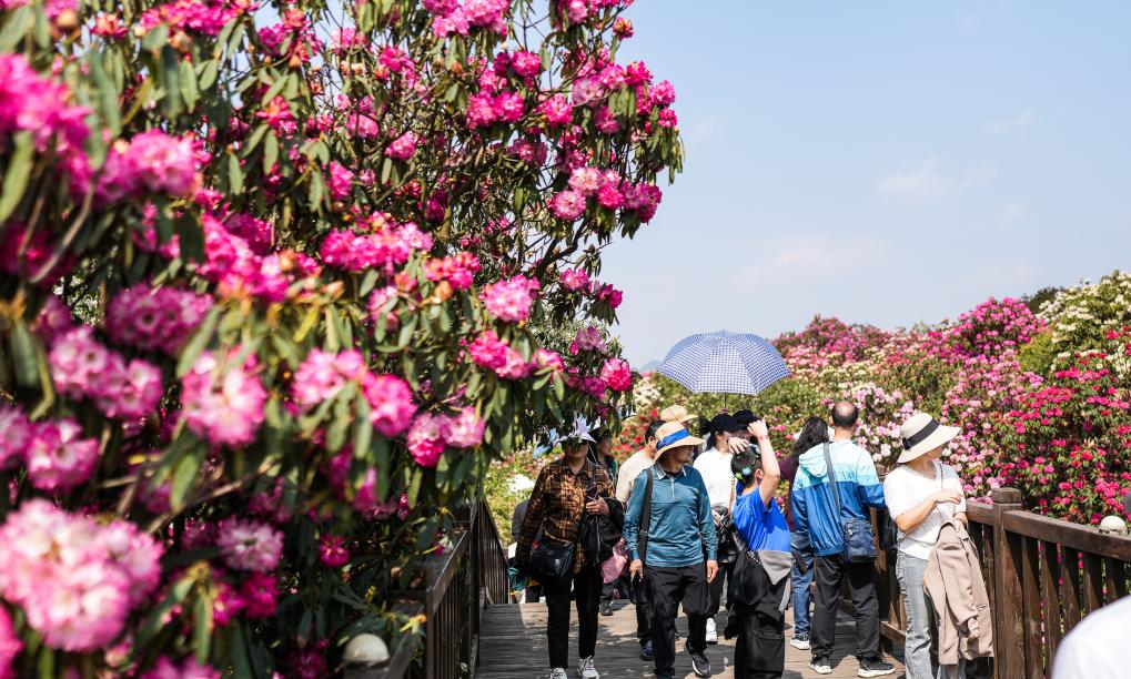 快出发！这些地方陆续美成仙境！