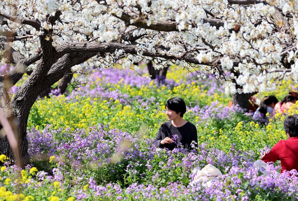 快出发！这些地方陆续美成仙境！
