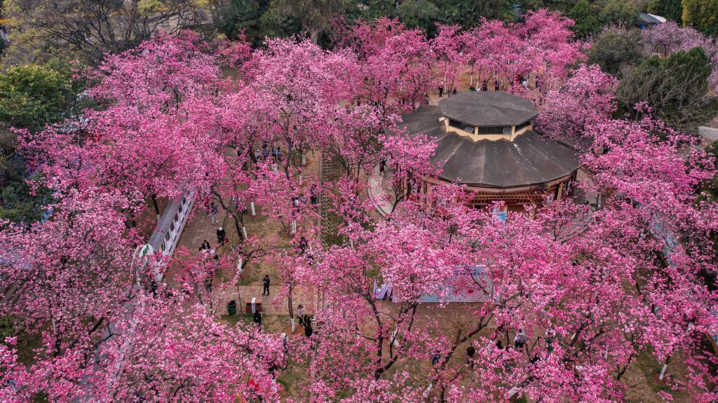 快出发！这些地方陆续美成仙境！