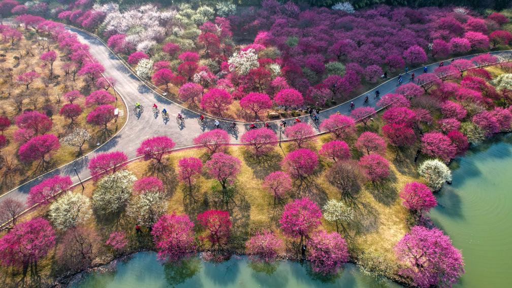 快出发！这些地方陆续美成仙境！