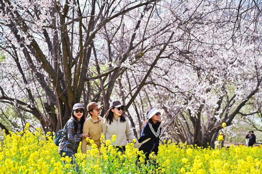 快出发！这些地方陆续美成仙境！