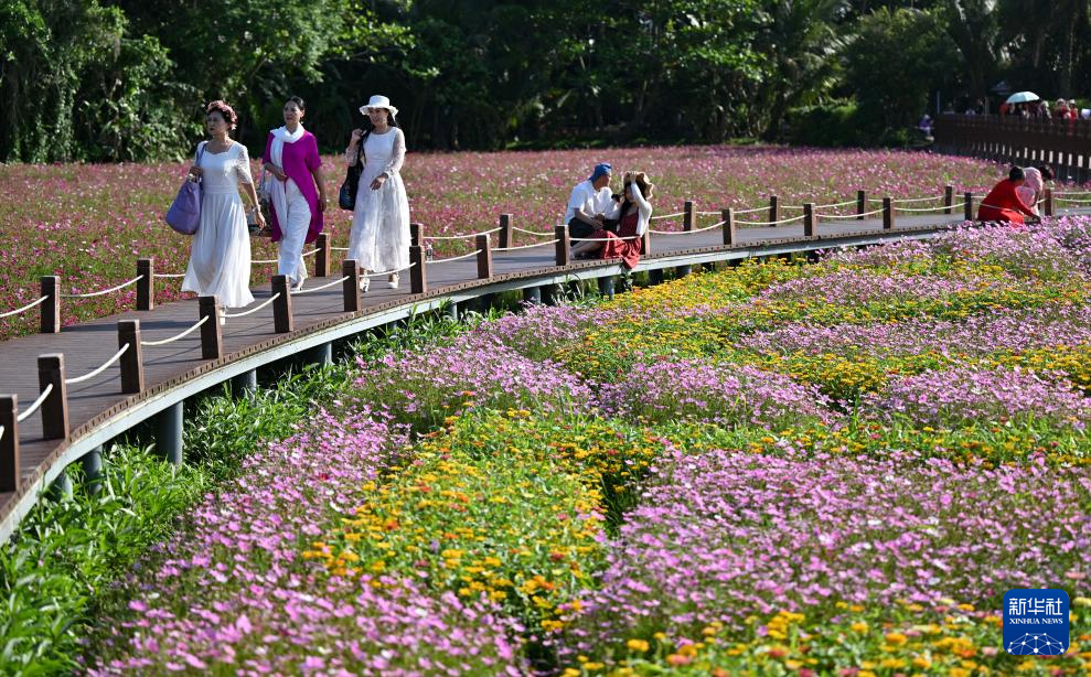 博鳌花开迎客来