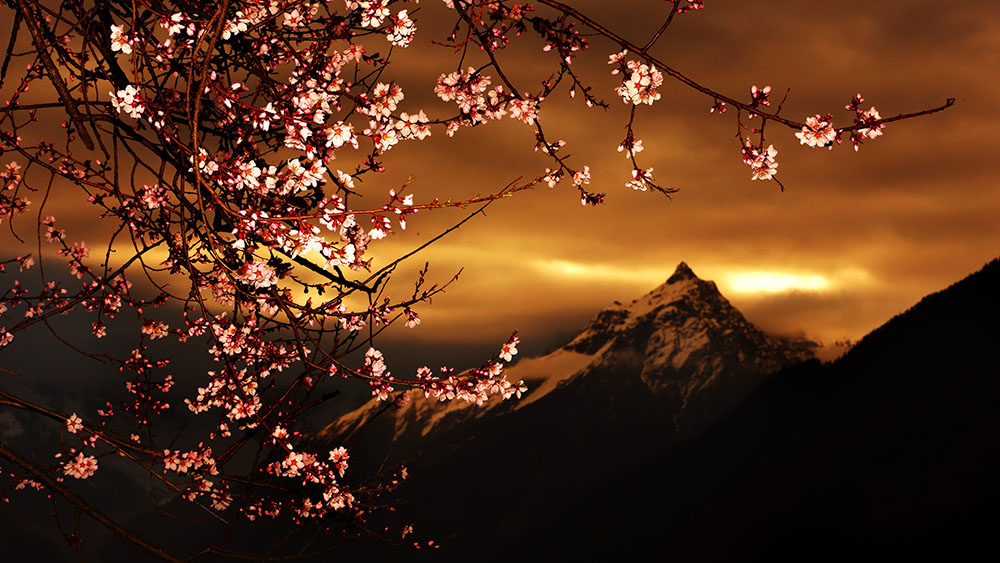 快出发！这些地方陆续美成仙境！