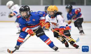 一到寒假就长胖？如何避免假期变成“小胖墩”