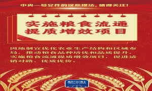 2026年中央一号文件2月3日发布，这些提法值得关注！