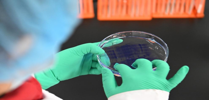 新华鲜报丨用药利好事关你我！国家医保药品“清单”一览