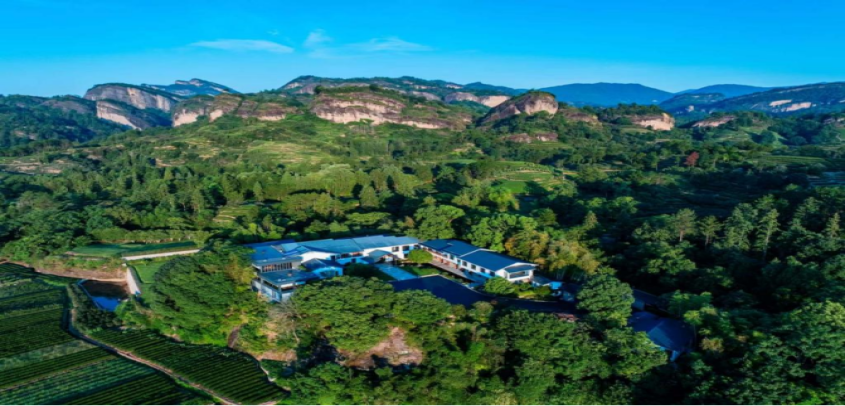 “寻找中国好茶 ”走进闽北：瑞泉百年技艺的家族传承与品牌突围