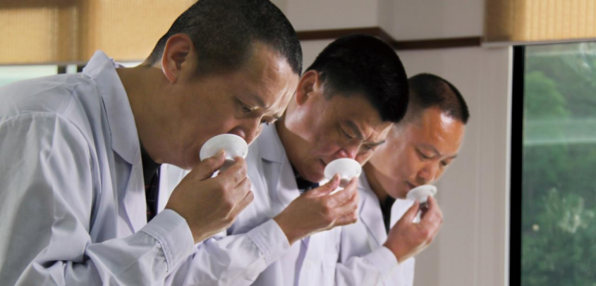 “寻找中国好茶”走进闽北：曦瓜茶业的“岩骨花香”