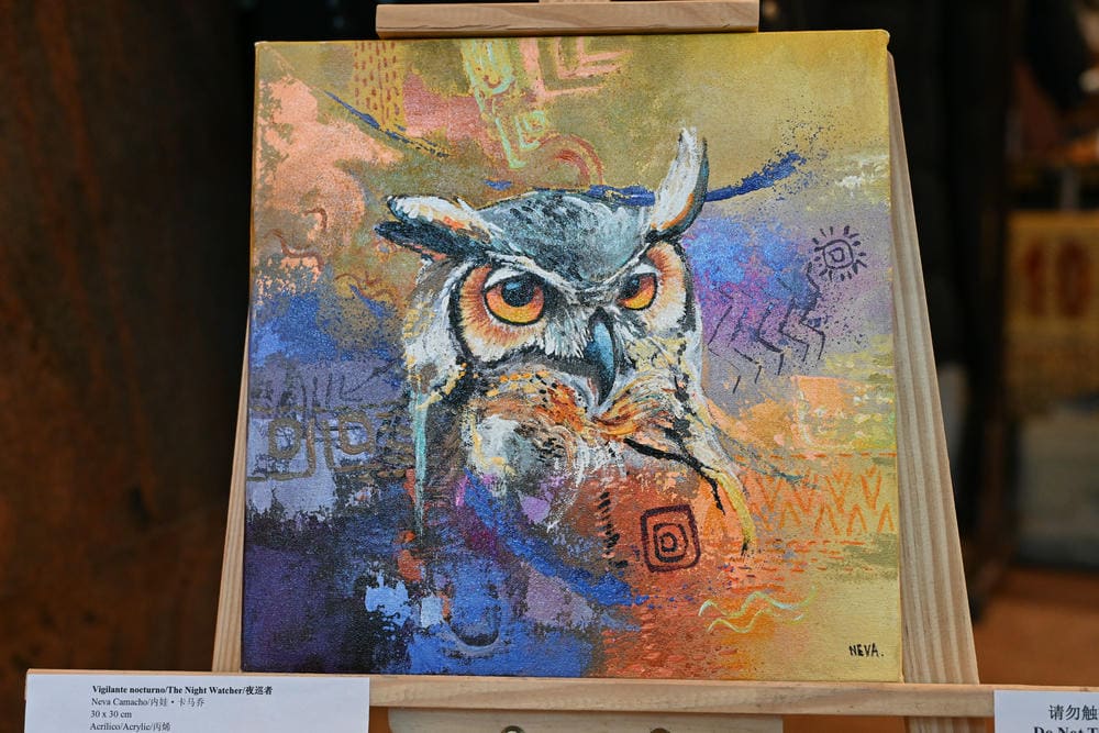 龙之路上的安第斯记忆艺术展活动剪影