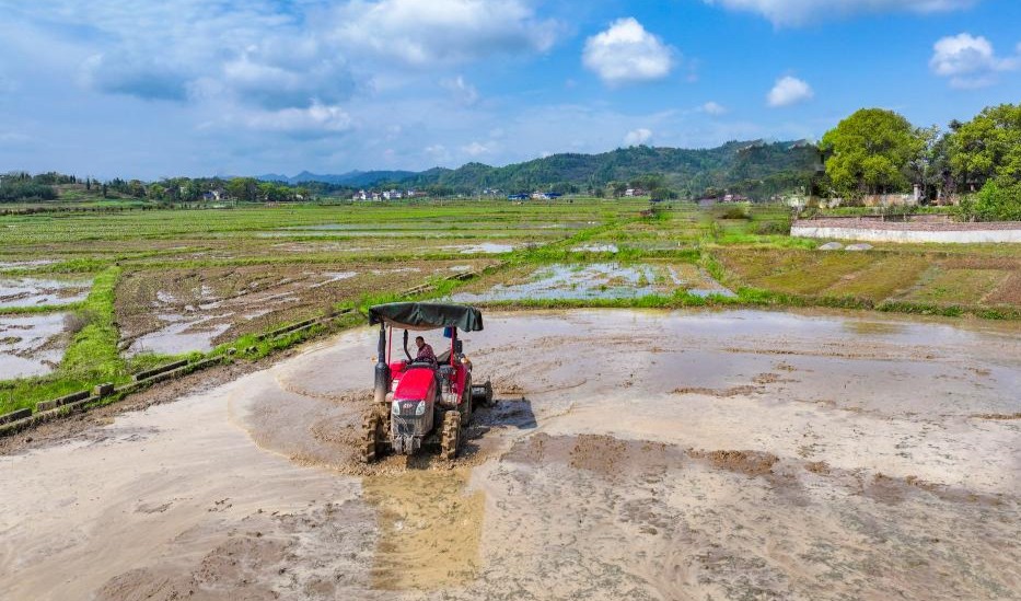 清明种得一田春