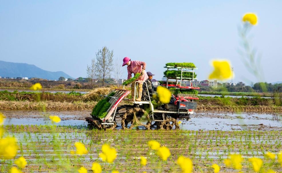 清明种得一田春