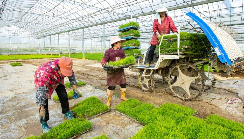 清明种得一田春