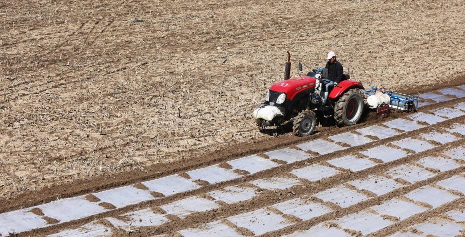 清明种得一田春