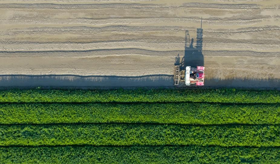清明种得一田春